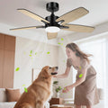 Airwit 106cm Ventilateur de Plafond Silencieux avec Lumière, Télécommande et Moteur Réversible DC pour Chambre, Noir/Bois Clair