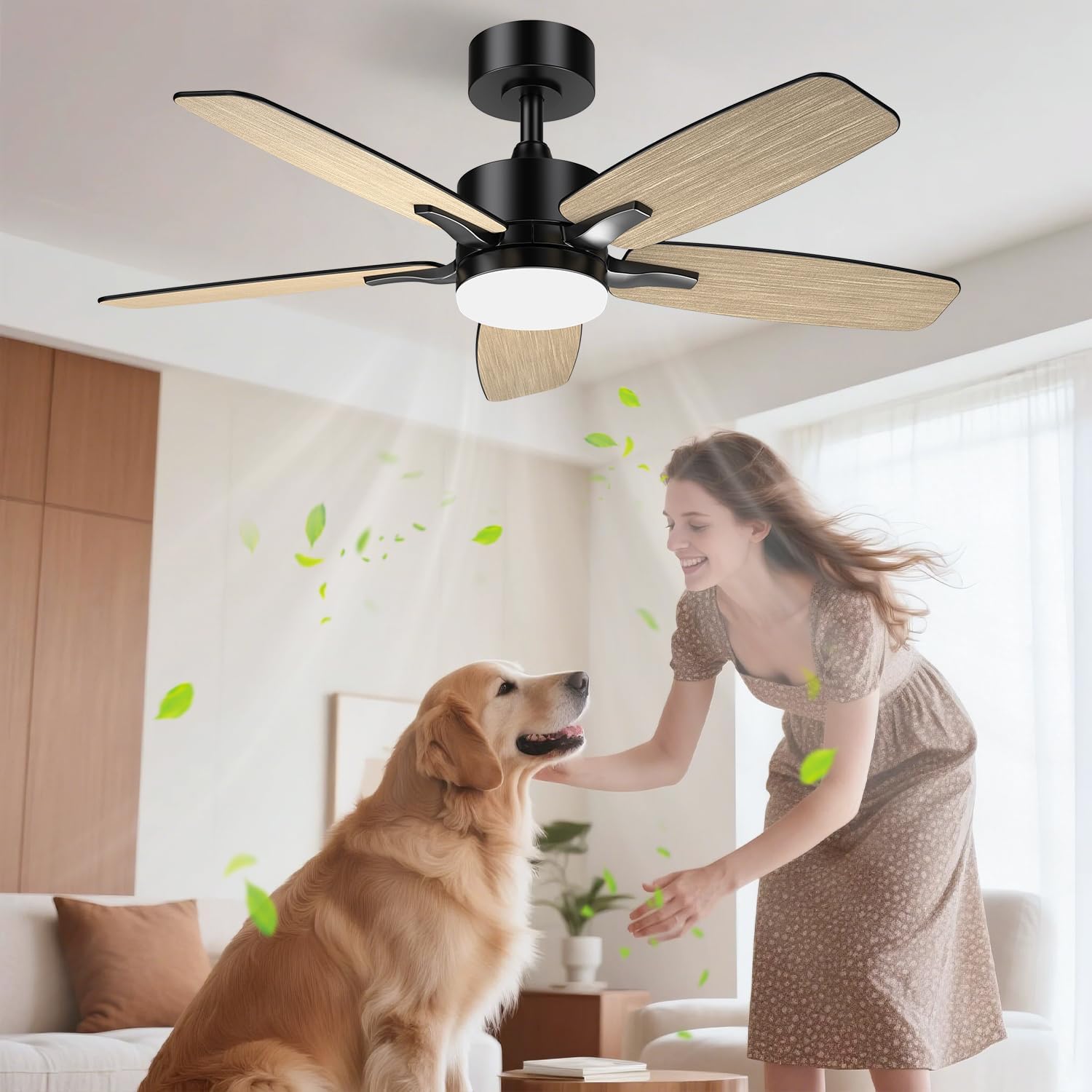 Airwit 106cm Ventilateur de Plafond Silencieux avec Lumière, Télécommande et Moteur Réversible DC pour Chambre, Noir/Bois Clair