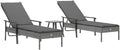 vidaXL, Bain de Soleil, Chaise Longue avec Coussin, Lit de Bronzage Rembourré Jardin Terrasse, Fauteuil avec Dossier Réglable