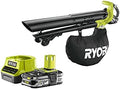 Pack RYOBI Souffleur aspiro-broyeur 18V One+ Brushless OBV18-1 Batterie 2.5Ah, 1 Chargeur Rapide RC18120-125 – RYOBI, Noir/Vert